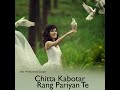 Chitta Kabotar Rang Pariyan Te Mp3 Song