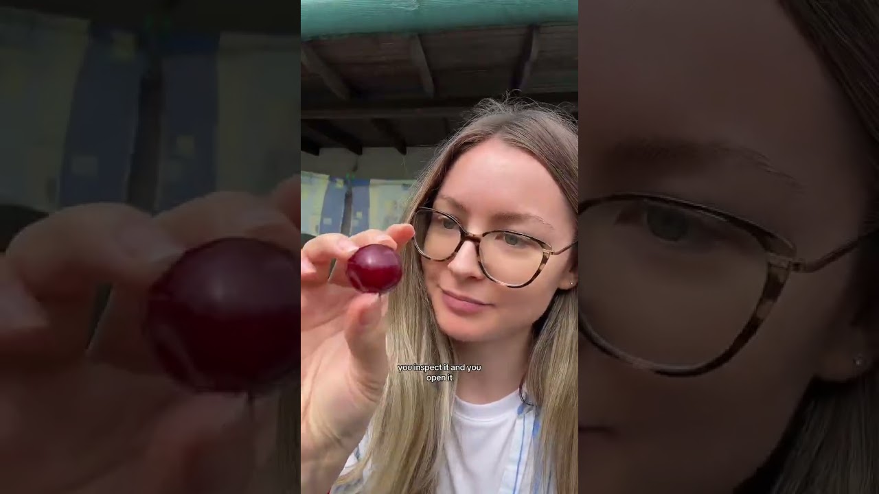 There are instructions for cherry eating here 🍒 #cherry #moldova