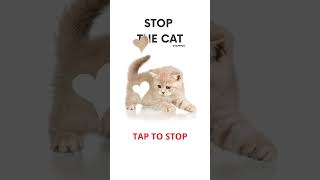 STOP The CAT 🐱 FILL UP the cat Puzzle game Tap challenge #game #shortsgame #shortsgame #cats screenshot 2