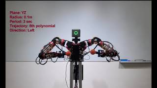 [RoK-Arm9] Task space motion control of both arms: Circular Motion on YZ and ZX plane