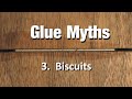 Glue Myths:  3. Biscuits