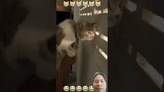 🤭🙈😹 🤭🙈😹