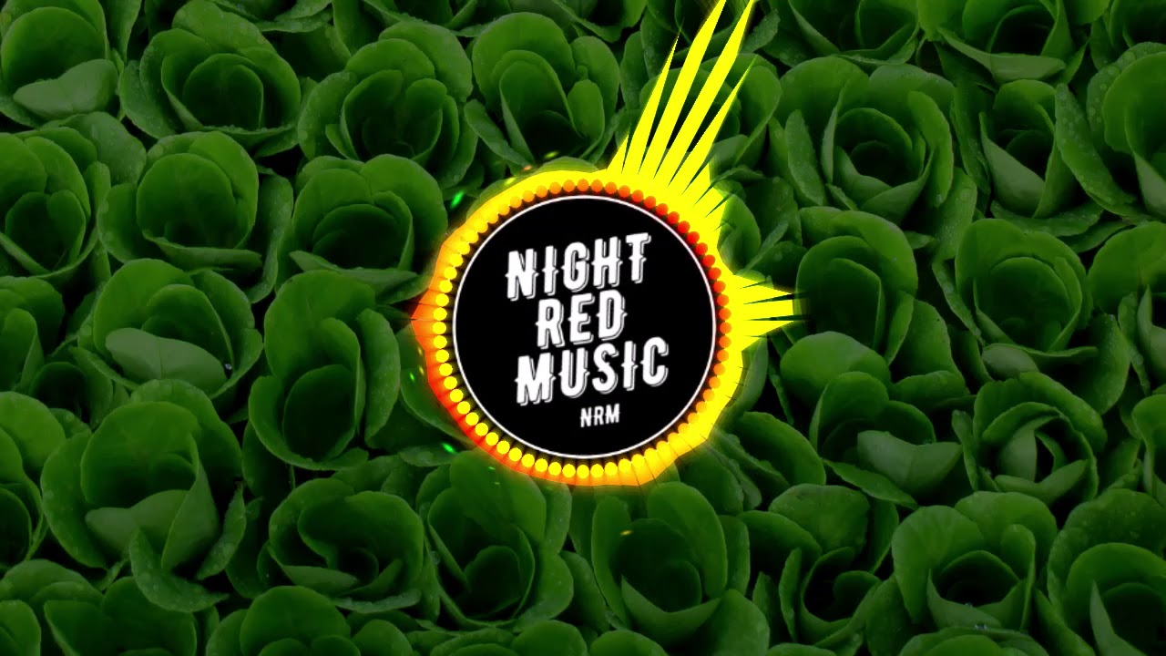 Unknown Brain - Why Do I? (feat. Bri Tolani) [NRM Release]