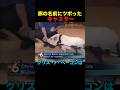 豚の名前にツボったキャスター #shorts #funny #面白い #news #放送事故 #動物 #animals