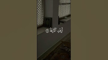 #اكسبلور #المصحف #لايك #راحة_نفسية القارئ محمد اللحيدان