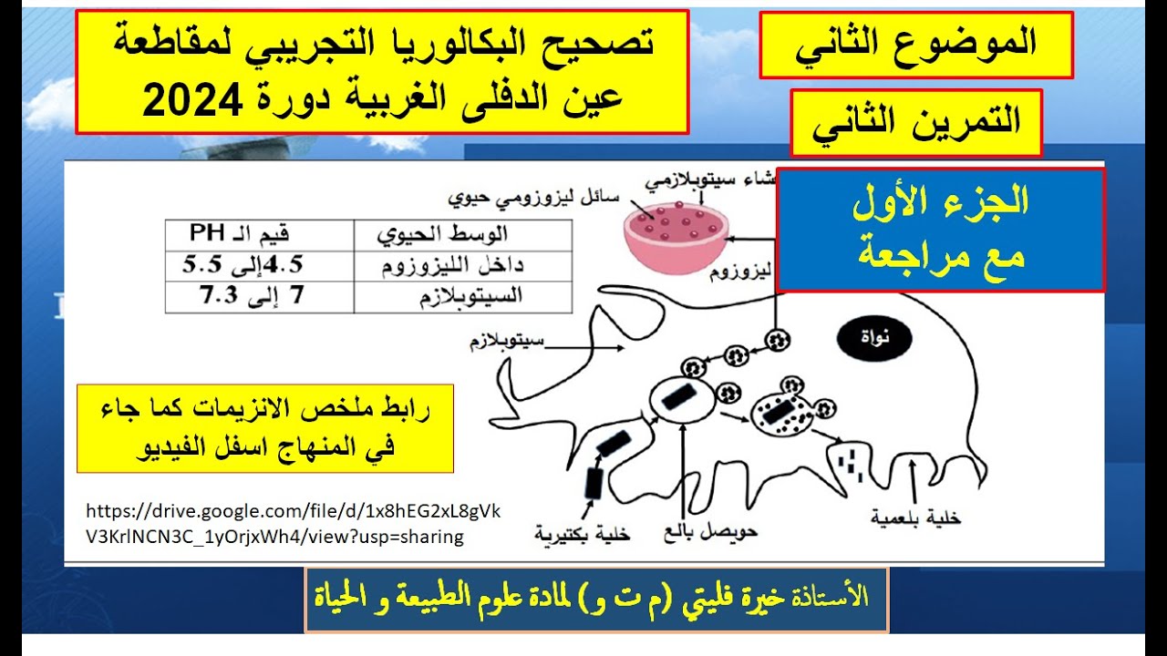 علوم طبيعية حل التمرين الثاني من الباك التجريبي 2024 عين الدفلى مراجعة وحدة الانزيمات
