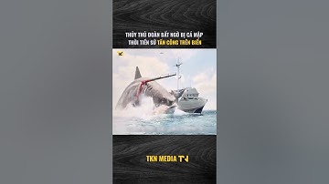 Thuỷ thủ đoàn bị cá mập thời tiền sử tấn công trên biển p1 #tknreview #review #shorts