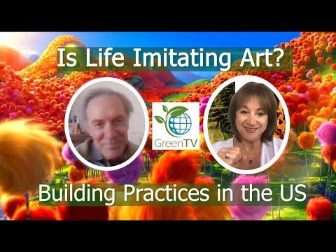 Is Life Imitating Art? A Reflection on Building Practices in the US