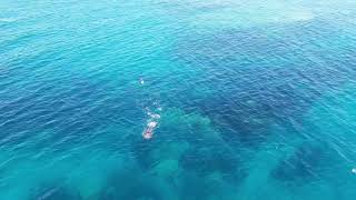 In the sea off Africo, Calabria. From the “Fossa delle Cernie” to the reef. Diver’s paradise!