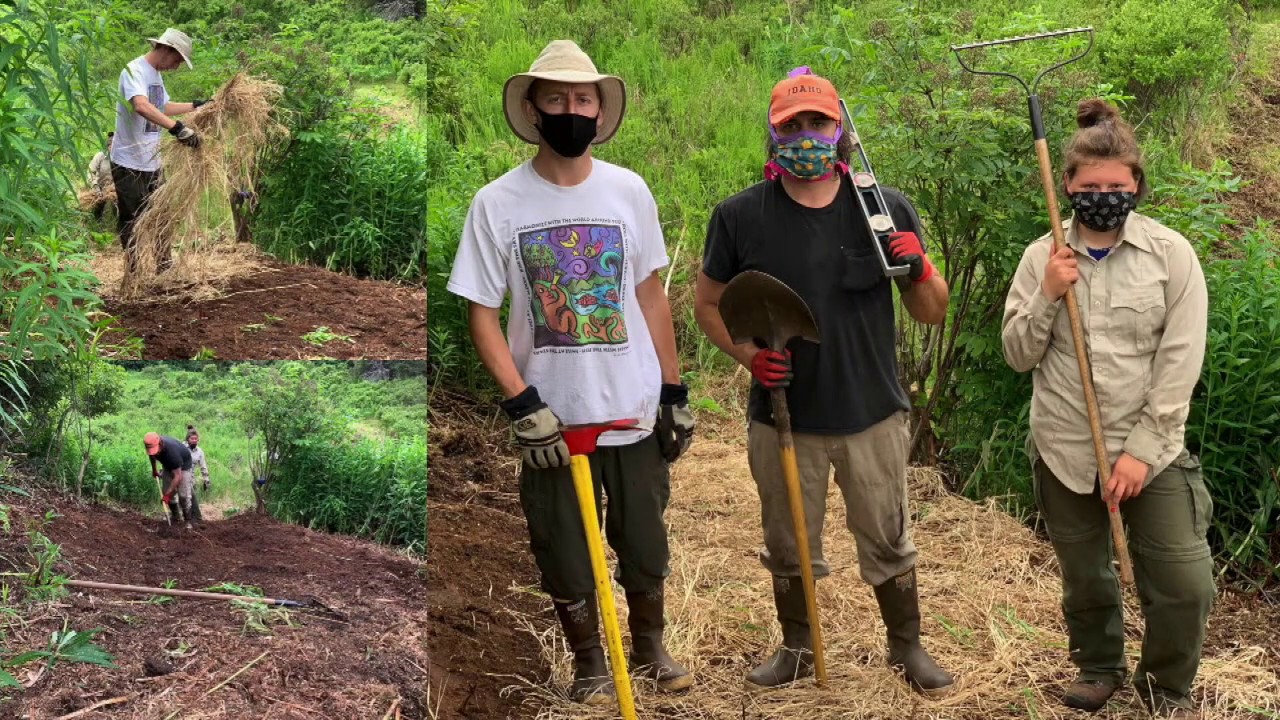 Reroute 2 Done & Orange Hawkweed Bagged