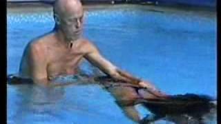 Aquatic Bodywork Received By Delphiris