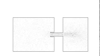 Shallow water flows with variable density