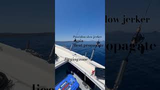 Jigging trip #mancing #jigging #spj #jigginglife #ψάρεμα #shimano #slowjigging #slowpitch #jigging
