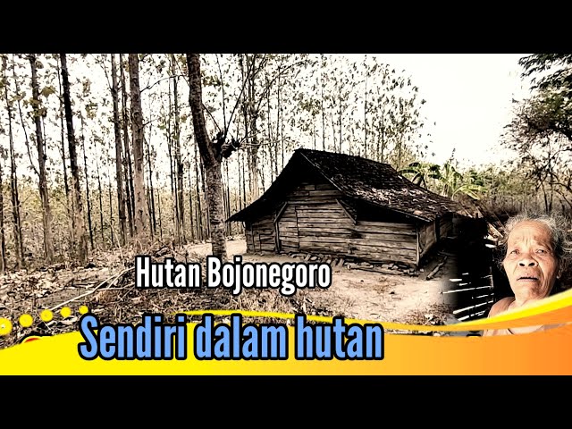 RUMAH TERPENCIL TANPA TETANGGA DI KAMPUNG JAWA class=