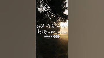 ماهر المعيقلي - سورة آل عمران ( برواية حفص عن عاصم ) الأية 38
