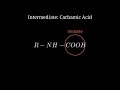 Master Hoffmann Bromamide Amine Degradation Instantly | Class 12 Chemistry | Vision Solve