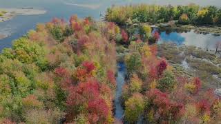 Aerial view of late fall colors at Ausable Point…