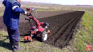 Planting early potatoes with a tillerblock