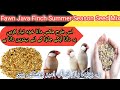 Fawn Java Finch Summer Season Seed Mix | گرمیوں میں جاوا کا مکس دانا خود تیار کریں