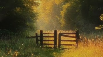 silent collision - Subdued Euphony