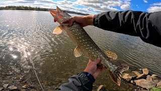 видео: Ловля Щуки на джиг + Приманки! 4К картинка: Ловля Щуки на джиг + Приманки! 4К