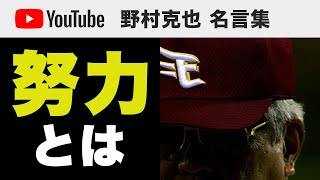努力とは 名言9選 野村克也 名言集 Youtube