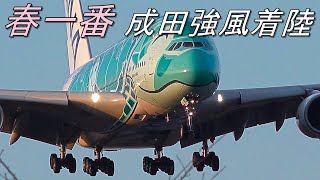 春一番強風の成田空港  フライングホヌ「カイ君」もゆれゆれ・エミレーツA380 ゴーアラウンド、その他 強風下の各国着陸機　Strong winds at Narita Airport