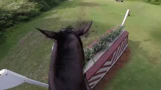 GoPro: Tullymurry Fifi (CCI 1* | 2022 Tryon International Horse Trials)