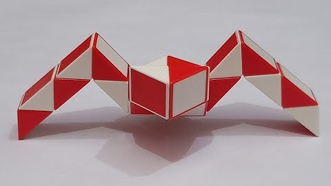 Spider Type 2 | Snake Cube Pattern