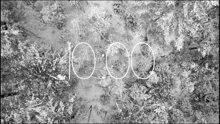 10 Minute Winter Timer With Music from The Sparkling Librarian screenshot 4