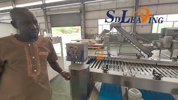 Palm dates washing sorting grading machine processing line 
