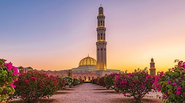 ( وَسِيقَ الَّذِينَ كَفَرُوا إِلَىٰ جَهَنَّمَ زُمَرًا ۖ  ) من سورة الزمر بصوت القارئ محمود