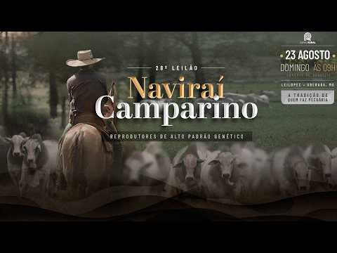 LOTE 172