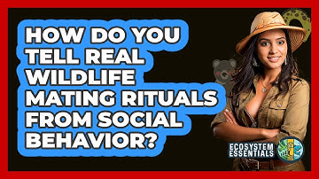 How Do You Tell Real Wildlife Mating Rituals From Social Behavior? - Ecosystem Essentials