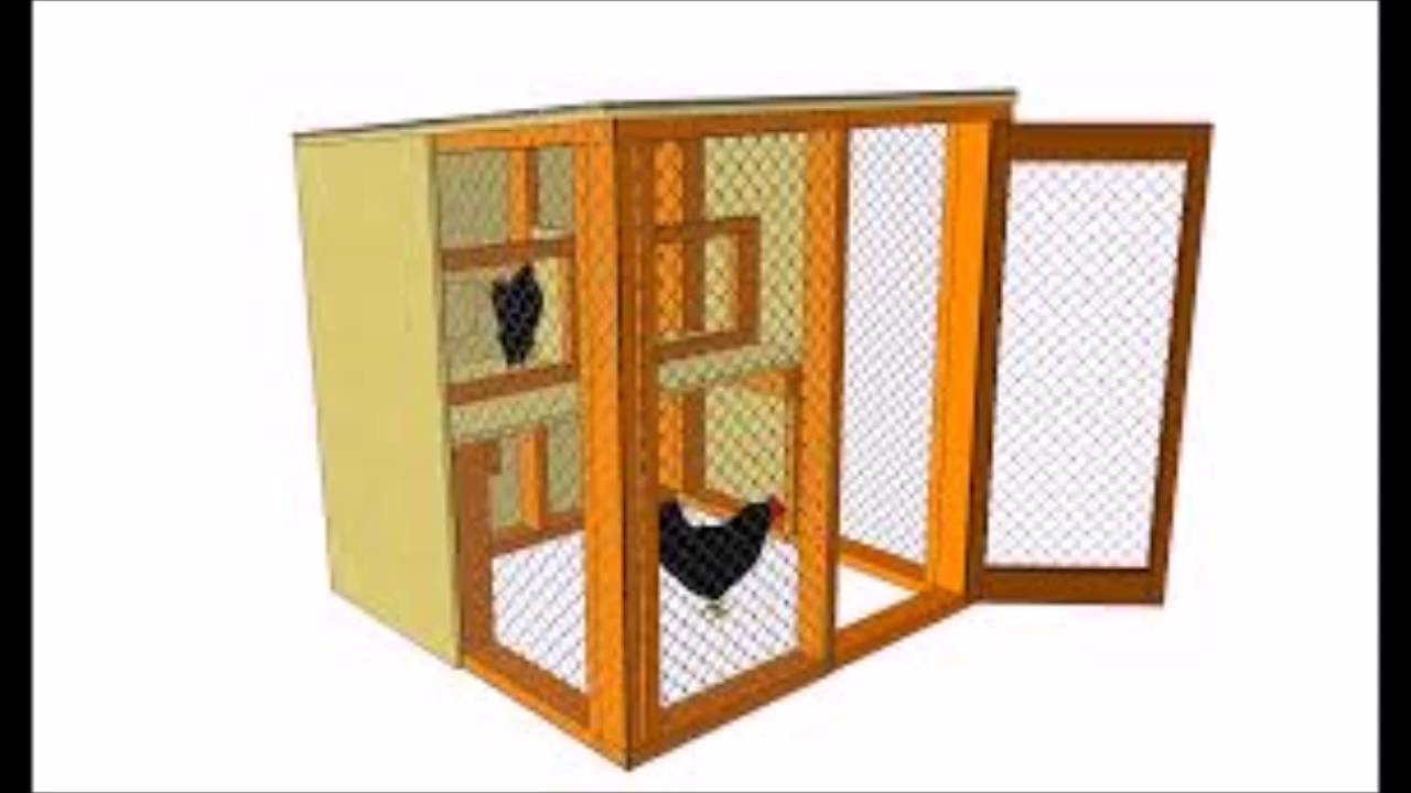 Building Of Poultry House - How To Build A Free Range ...