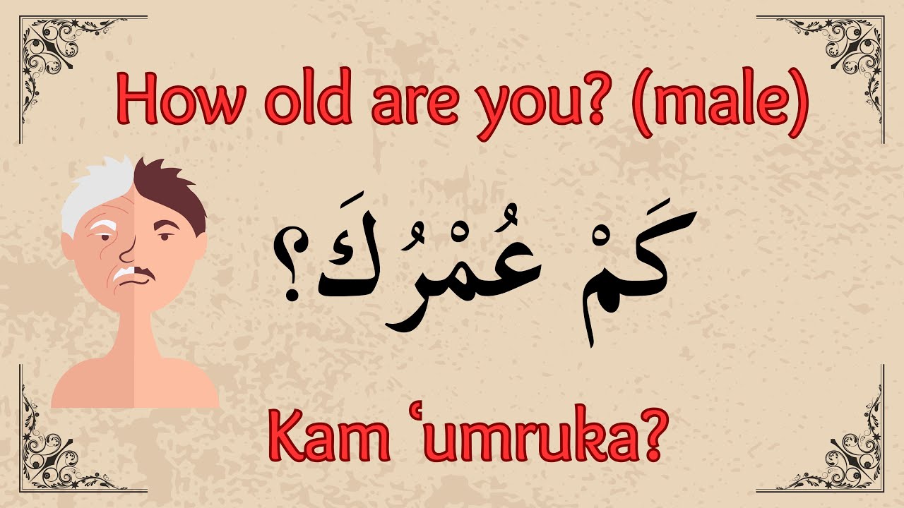 200 ARABIC Phrases Every Arabic Beginner Must Know || Arabic for non-native speakers