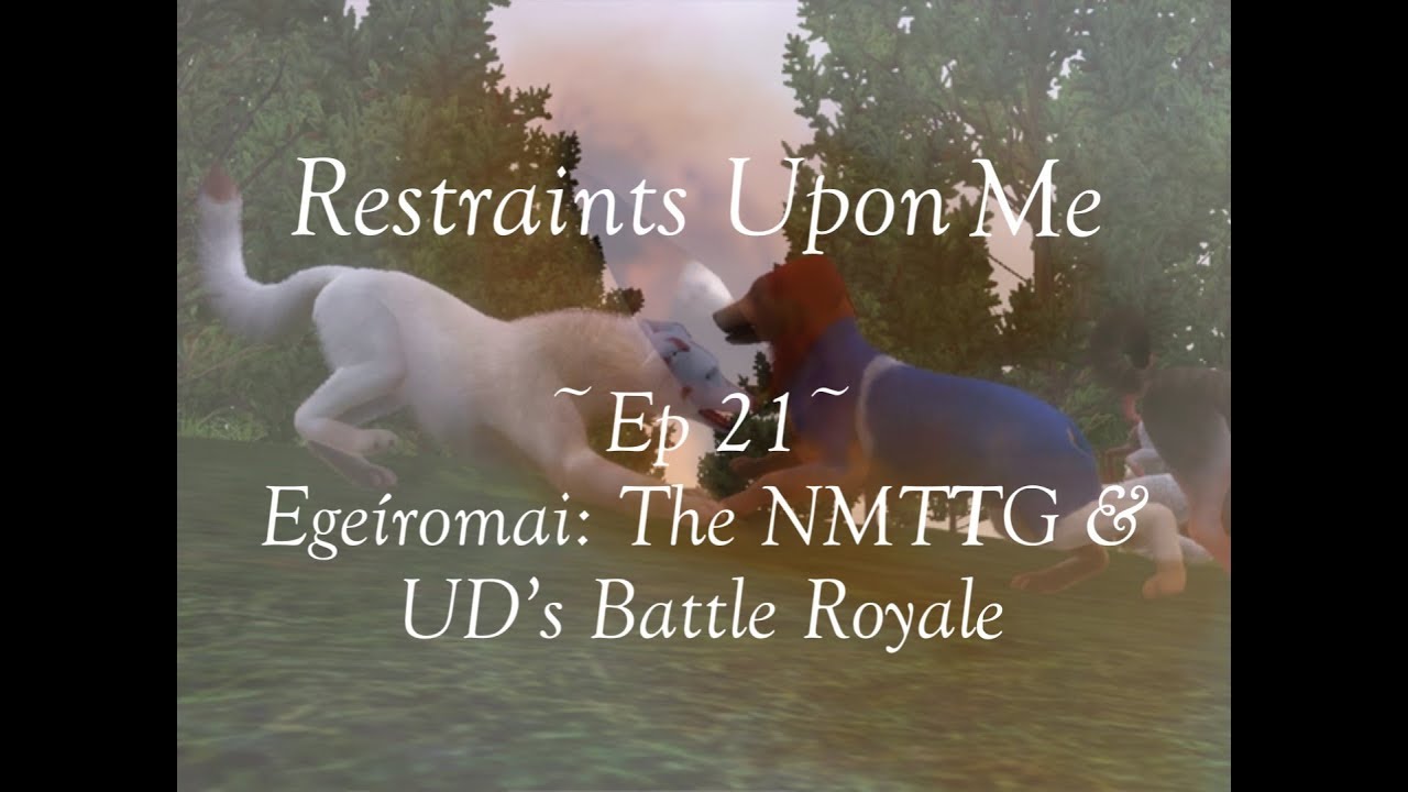 Poses daruma fields saddlery company