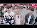 [찾았다 스트레이 키즈] "Do You Know Stray Kids?" 시드니의 슈스 스키즈가 떴다! | Ep.2 (ENG SUB)