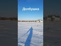 Долбушка