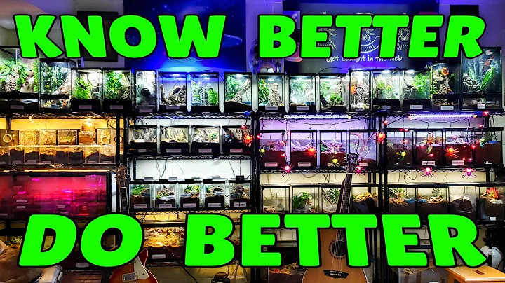 Top 5 Tools for Tarantula Keepers!