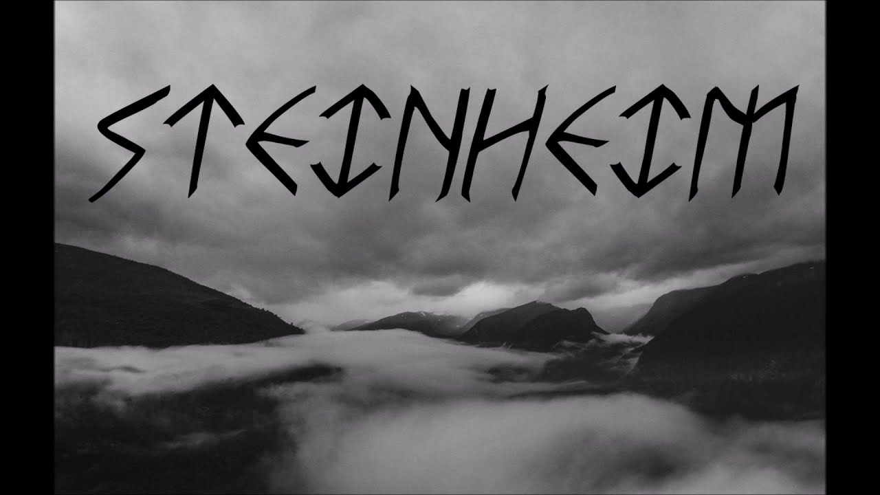 Steinheim We Are 138 (misfits cover)