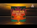 Céline Dion – Pour que tu m’aimes encore (Zouka Remix) | Version Tropicale Zouk 2025