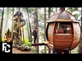 6 INSANE Treehouses You wont Believe Exist | HOUSES BUILT IN TREES | FACT CENTRAL