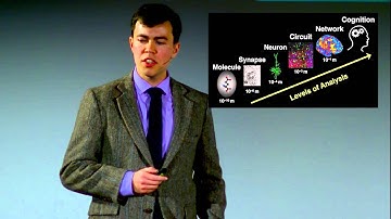 Why psychiatry needs computational models of the brain | John Murray | TEDxAmherst