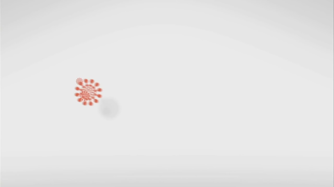 The Magic Store/WildBrain (2007)