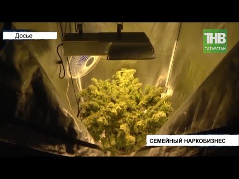 Видео: Лесная трава, выращенная в контейнерах: советы по выращиванию лесной травы в контейнерах