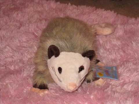 Webkinz opossum for sale