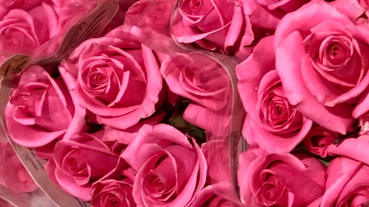 How To Align With Your Highest Timeline (Spiritual Awakening)