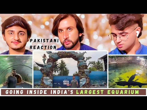 Going inside India's LARGEST Aquarium which has Sharks | This is just like Dubai | Reaction..