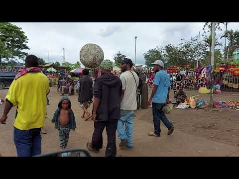 Video: Balsam New Guinea (34 Foto's): Zorgregels Thuis. Beschrijving Van Balsem 